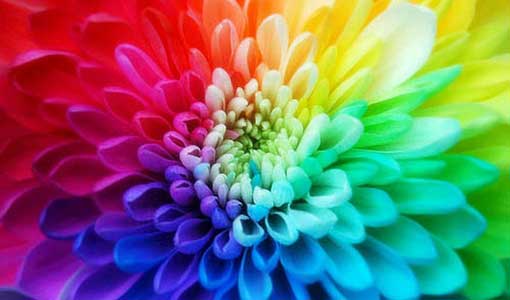 Favourite Colour Number